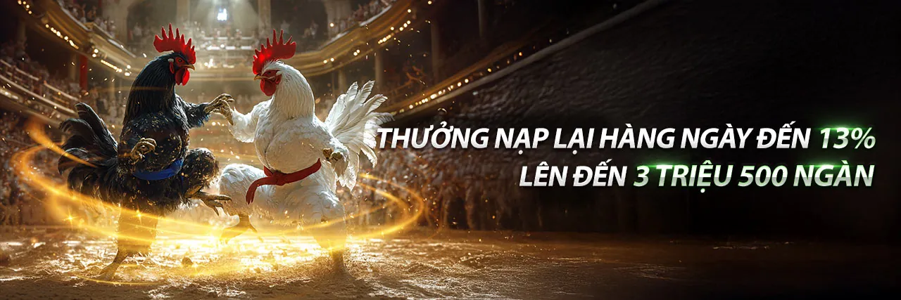Đá Gà Trực Tuyến Mayclub 2026