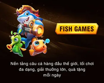 Cá cược thể thao mayclub